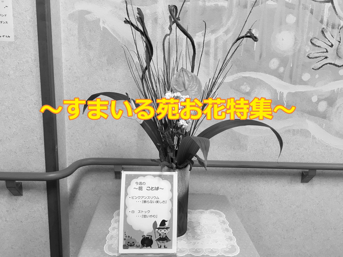 すまいる苑玄関お花